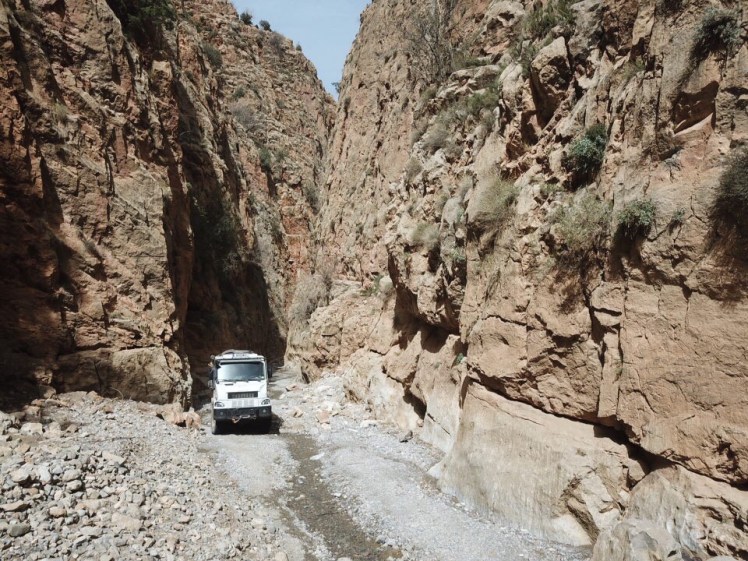 9A45B6AA-FDB2-4DE5-8F26-35E653C66A6F